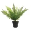 Merkloos Bellatio Flowers & Plants Kunstplant - Varen - Groen - In Pot - 48 Cm