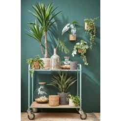 Mica Decorations Atlantic Mand Voor Planten Set Van 3 - Ø16 Cm - Crème 7 Mica Decorations Atlantic Mand Voor Planten Set Van 3 - Ø16 Cm - Crème -Woninginrichting Winkel 1000034262 0111