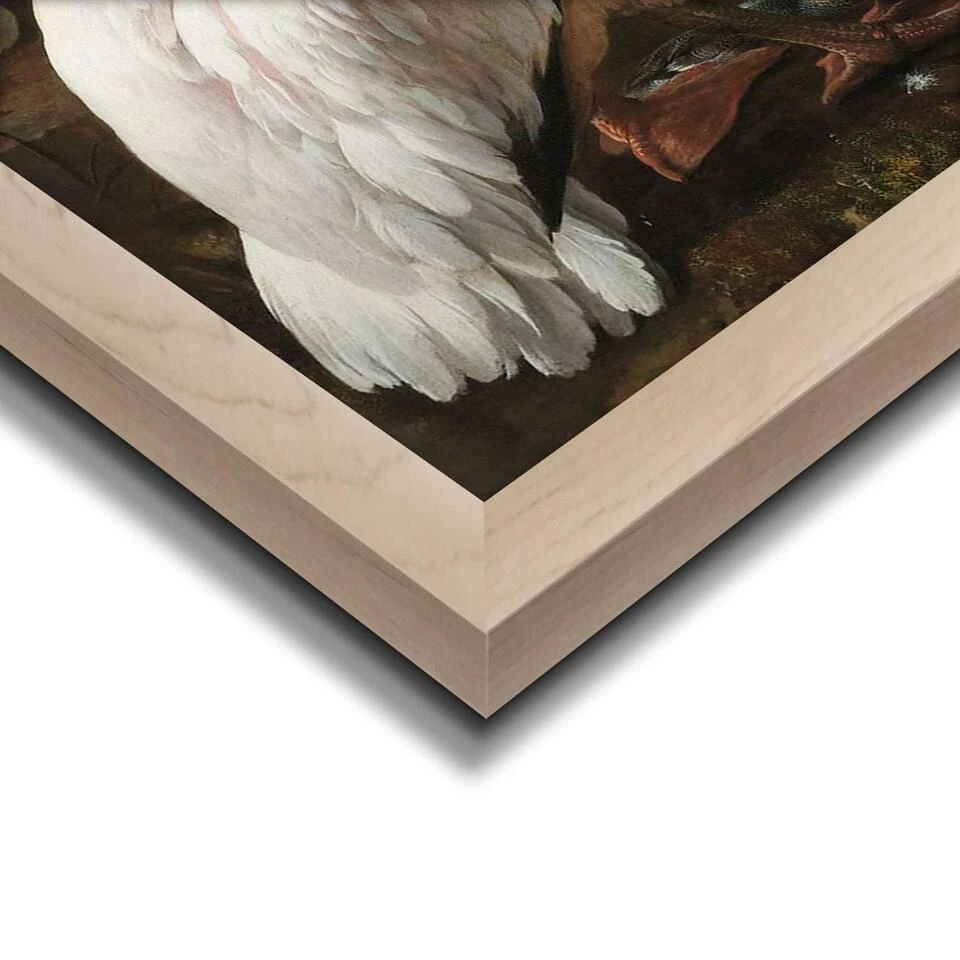 Ingelijste Poster D'Hondecoeter De Pelikaan 93,5x63 Cm Bont 4 Ingelijste Poster D'Hondecoeter De Pelikaan 93,5x63 Cm Bont - Afbeelding 4