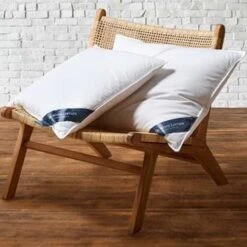 De Witte Lietaer Kussen Ducky - 60 X 70 Cm - Donsvulling -Woninginrichting Winkel 1163069466 0103