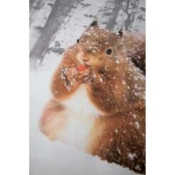 Papillon Milou Dekbedovertrek - 140x200/220 Cm - Multikleur -Woninginrichting Winkel 1387452107 0102