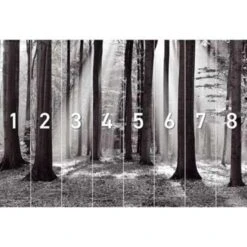 Fotobehang Zonlicht In Loofbos 260x384 Cm Zwart-Wit -Woninginrichting Winkel 1976718134 0102