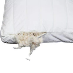 Polydaun Hoofdkussen First Kapok - 60x50 Cm -Woninginrichting Winkel 81024519 9000